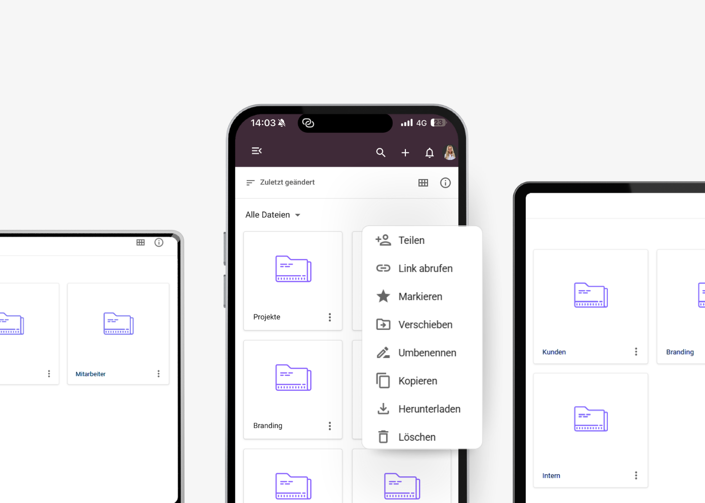 Project Preview